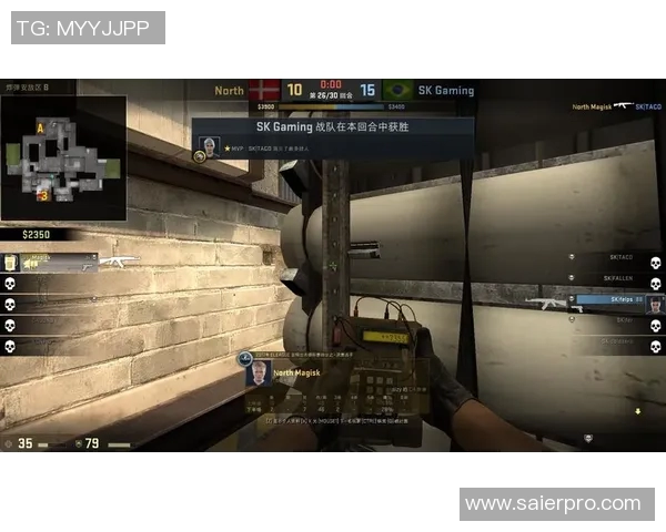 CSGO焦点战队WE心理素质分析与竞技表现的关系探讨