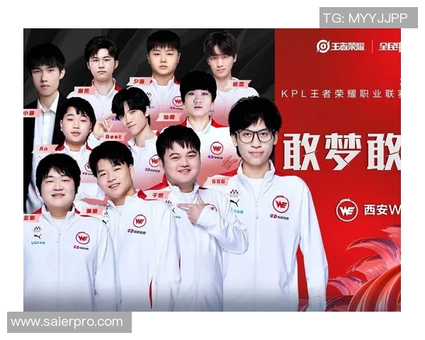 王者荣耀热议WE战队配合争议引发玩家热烈讨论与反思